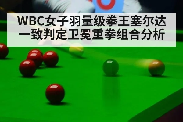 WBC女子羽量级拳王塞尔达一致判定卫冕重拳组合分析 - jiuyou